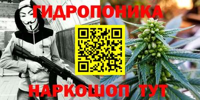 тгк Заводоуковск